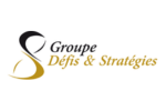 logo de Defis & strategies Goupe, partenaire du Hfablab
